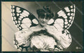 Artist Fairy Lady photo postcard cartolina KS3595 – fronte
