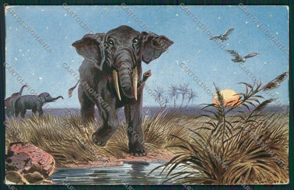 Artist Elephant Perlberg postcard cartolina KS3649 – fronte