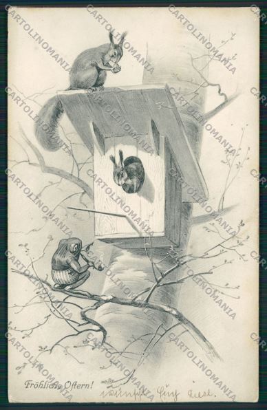 Artist Frog Squirrel postcard cartolina KS3660 – fronte