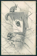 Artist Frog Squirrel postcard cartolina KS3660 – fronte