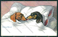 Artist Sleeping Dachshund dog Quidenus postcard cartolina KS3765 – fronte