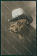 Artist Dressed Smoking American Staffordshire dog postcard cartolina KS3791 – fronte