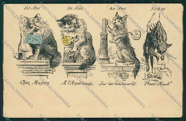 Artist Cat postcard cartolina KS3802 – fronte