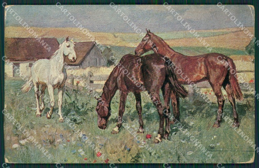 Horse postcard cartolina KS4637 – fronte