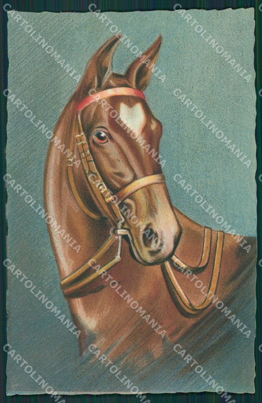 Horse postcard cartolina KS4641 – fronte
