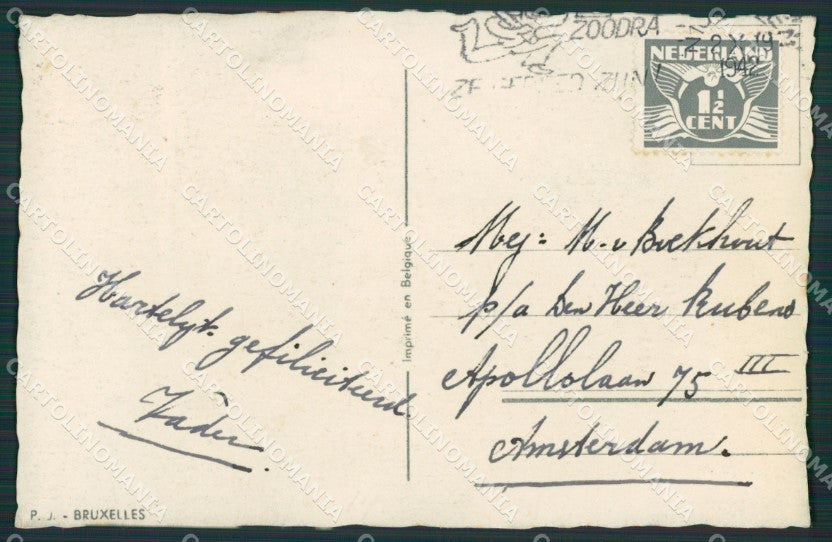 Horse postcard cartolina KS4641 – retro
