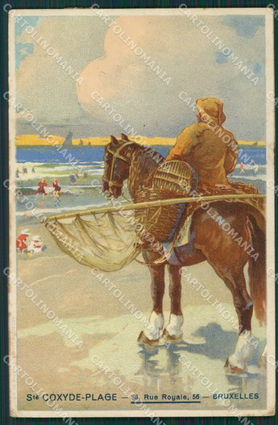 Horse Bruxelles Advertising CREASES postcard cartolina KS4655 – fronte