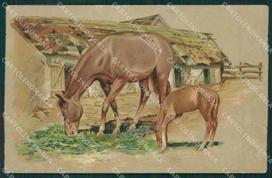 Horse Relief postcard cartolina KS4659 – fronte