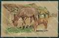Horse Relief postcard cartolina KS4659 – fronte