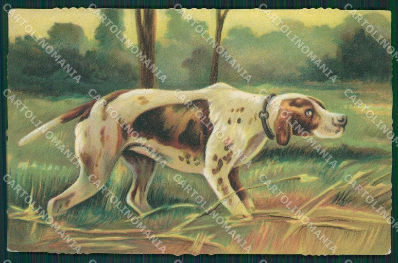 Artist Norfini Pointer dog postcard cartolina KS4832 – fronte