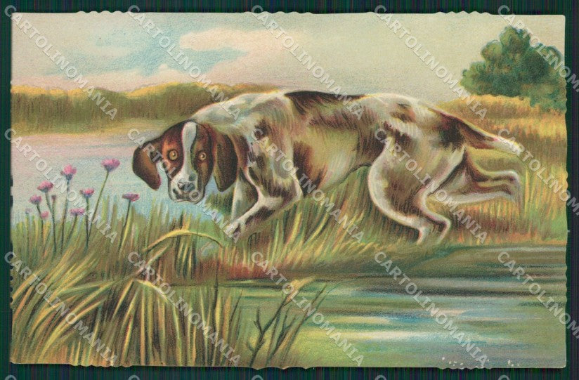 Artist Norfini Pointer dog postcard cartolina KS4833 – fronte