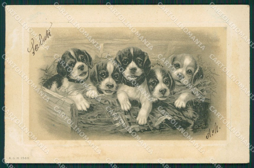 Artist Dog Puppies postcard cartolina KS4836 – fronte