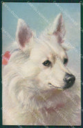 Artist Reichert Spitz dog postcard Raphael Tuck 3533 cartolina KS4838 – fronte