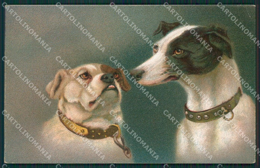 Artist Dog Whippet CORNER CREASE postcard cartolina KS4841 – fronte