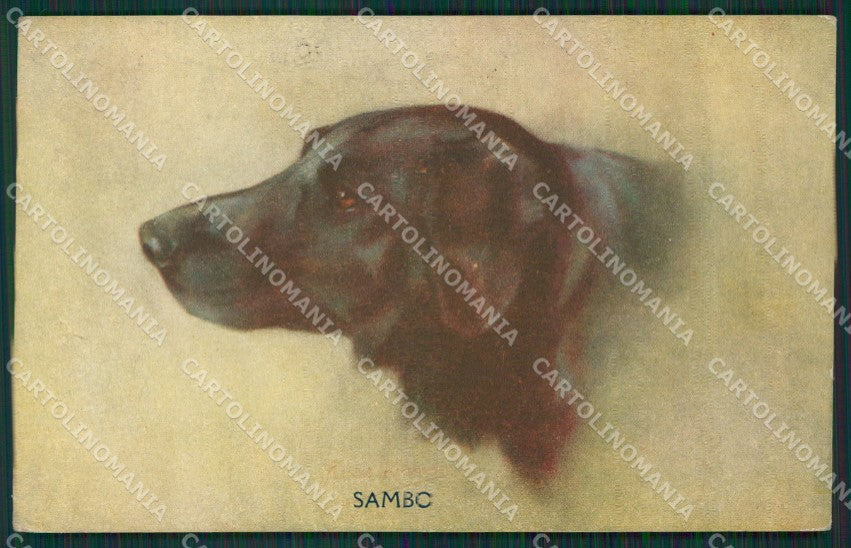 Artist Labrador dog postcard cartolina KS4842 – fronte