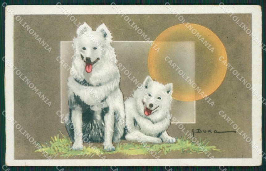 Artist Duke Spitz postcard cartolina KS4852 – fronte