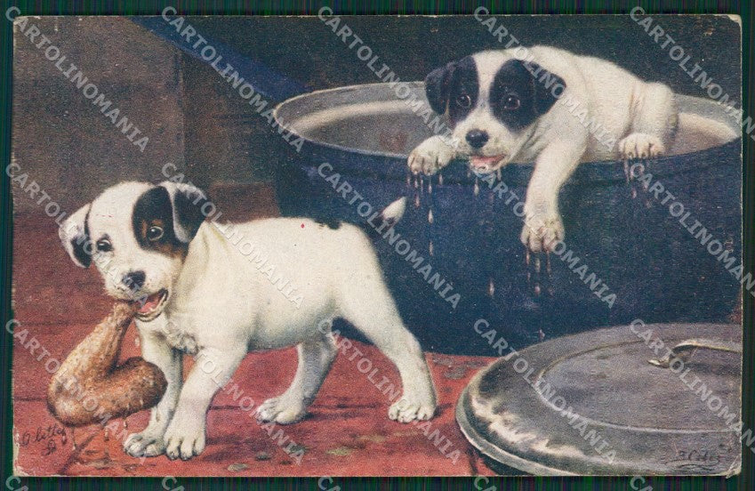 Artist Cobbe Dog Puppies Raphael Tuck serie 9765 postcard cartolina KS4856 – fronte