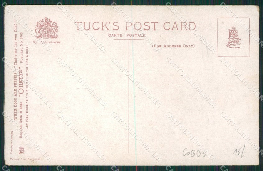 Artist Cobbe Dog Puppies Raphael Tuck serie 9765 postcard cartolina KS4856 – retro