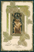 Artist Puppy dog Rottweiler Theo Stroefer postcard cartolina KS4862 – fronte