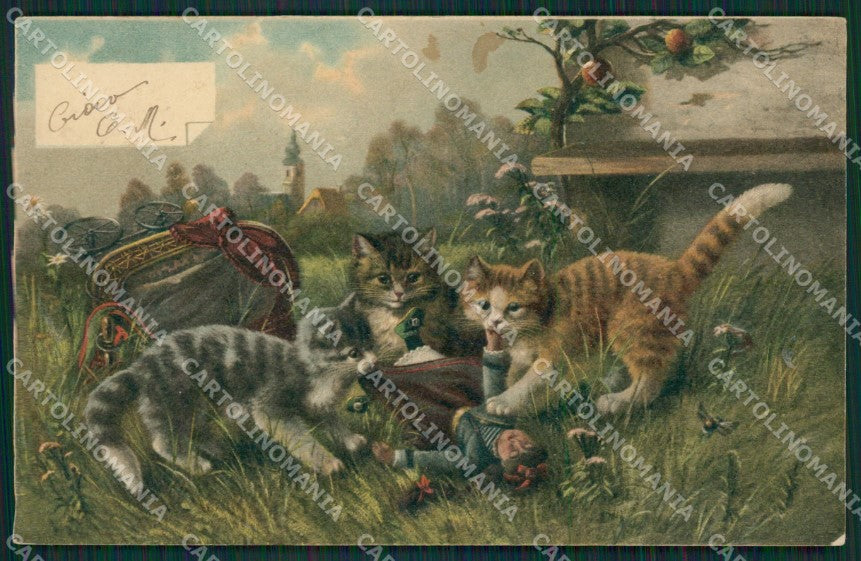 Gatto Cat postcard cartolina KS4981 – fronte