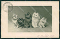 Artist Sperlich Gatto Cat postcard cartolina KS4987 – fronte