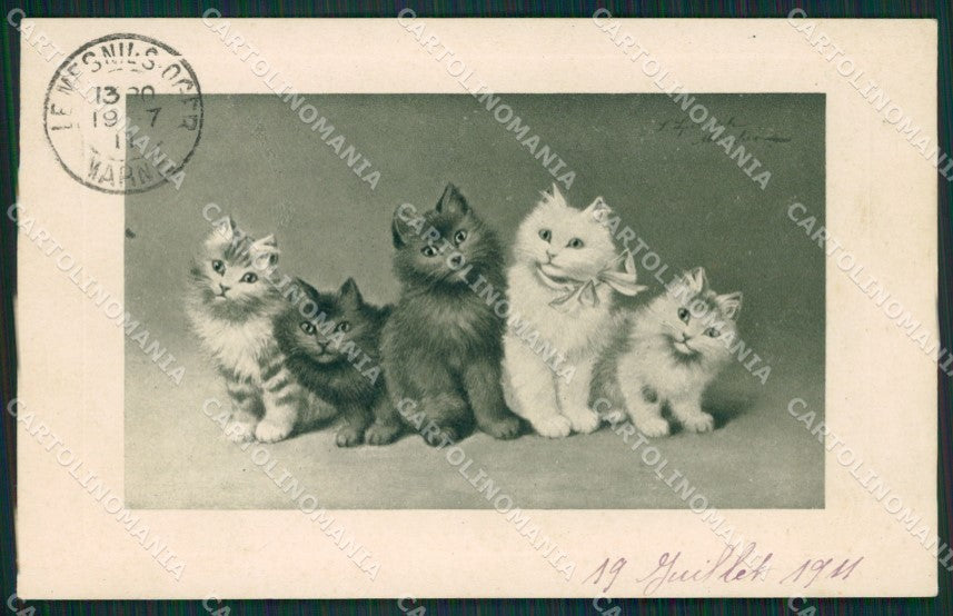 Artist Sperlich Gatto Cat postcard cartolina KS4987 – fronte