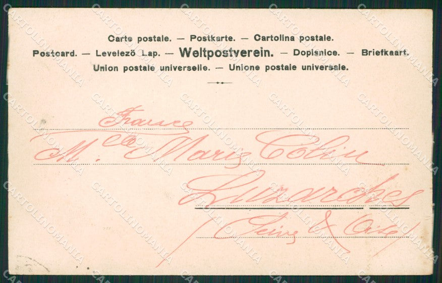 Hund Caccia dog cane postcard cartolina KS4992 – retro