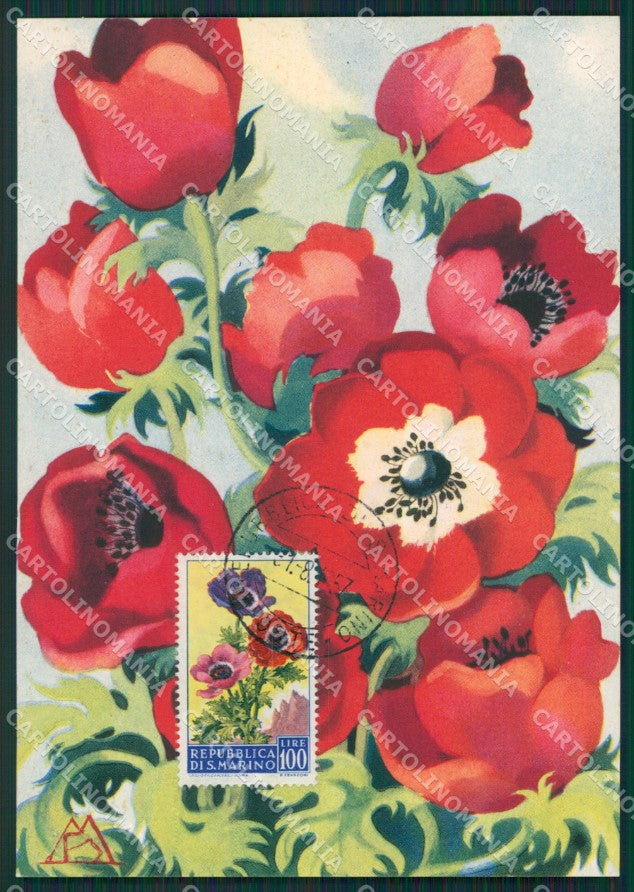 Repubblica San Marino Maximum Flowers FG postcard cartolina KS5111 – fronte