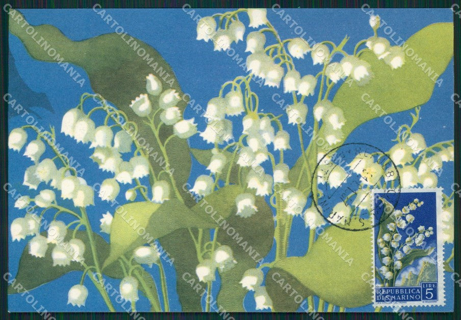 Repubblica San Marino Maximum Flowers FG postcard cartolina KS5112 – fronte