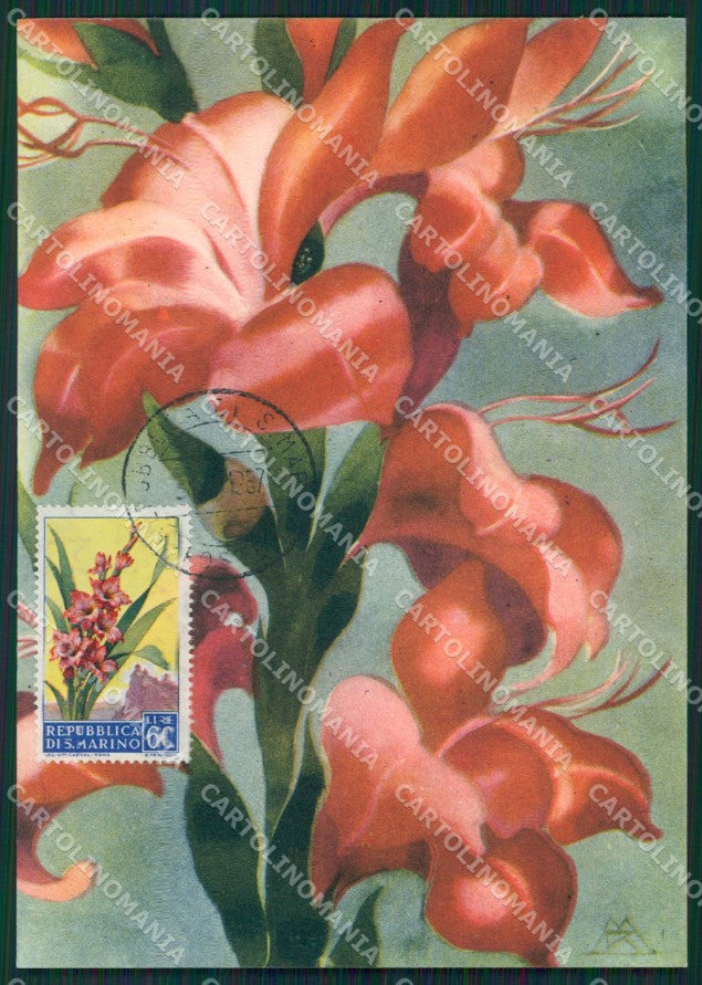 Repubblica San Marino Maximum Flowers FG postcard cartolina KS5113 – fronte