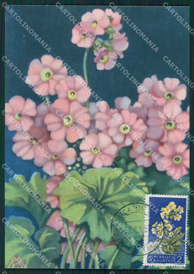 Repubblica San Marino Maximum Flowers FG postcard cartolina KS5114 – fronte