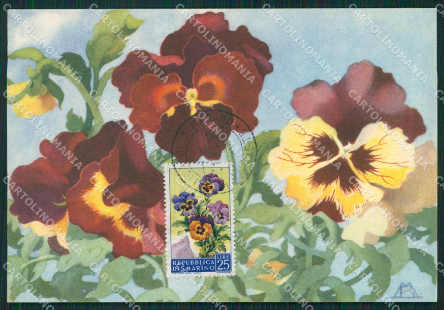 Repubblica San Marino Maximum Flowers FG postcard cartolina KS5116 – fronte