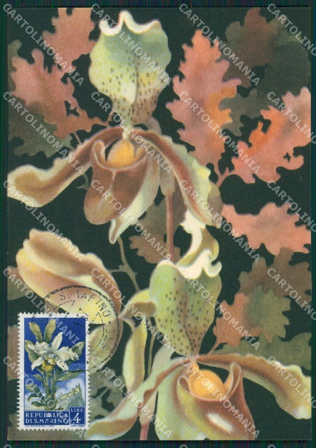 Repubblica San Marino Maximum Flowers FG postcard cartolina KS5117 – fronte