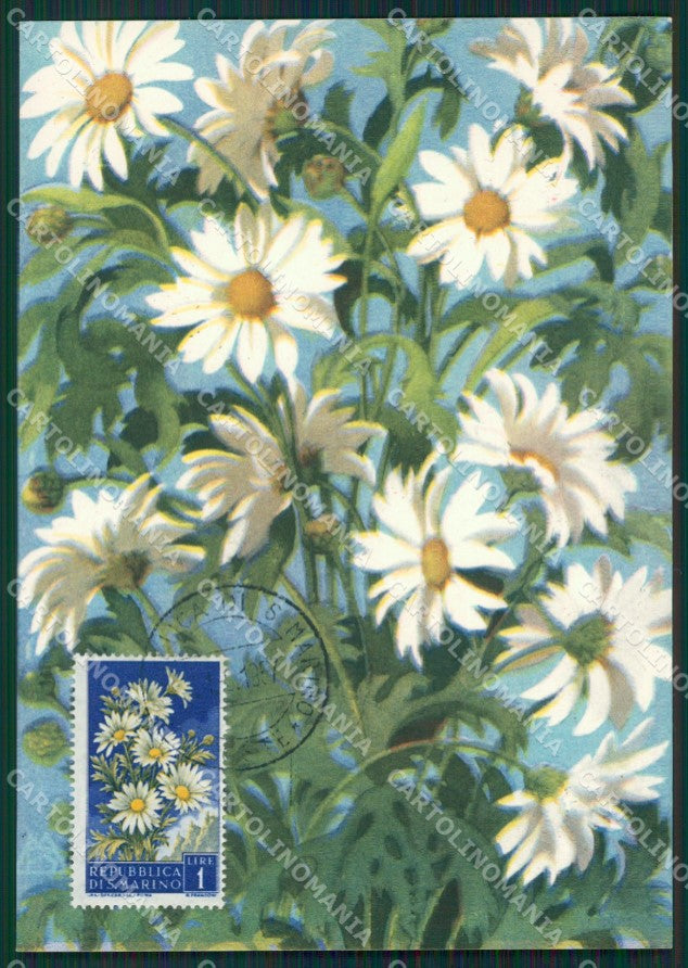 Repubblica San Marino Maximum Flowers FG postcard cartolina KS5118 – fronte