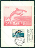 Repubblica San Marino Maximum Delfino FG postcard cartolina KS5122 – fronte