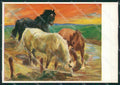 Artist Dullberg Horse Cavallo FG postcard cartolina KS5157 – fronte