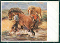 Artist Dullberg Horse Cavallo FG postcard cartolina KS5158 – fronte
