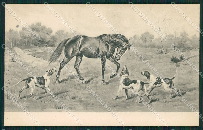 Artist Wright? Horse MM Vienne serie 222 postcard cartolina KS6041 – fronte