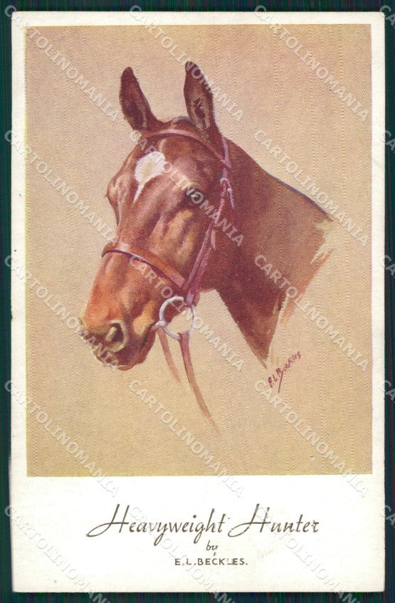 Artist Beckles Horse serie 1700 PIN HOLES postcard cartolina KS6073 – fronte