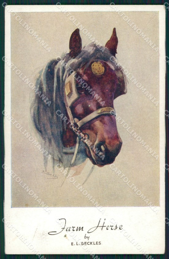 Artist Beckles Horse serie 1701 postcard cartolina KS6075 – fronte