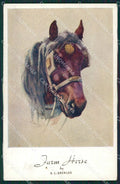 Artist Beckles Horse serie 1701 postcard cartolina KS6075 – fronte