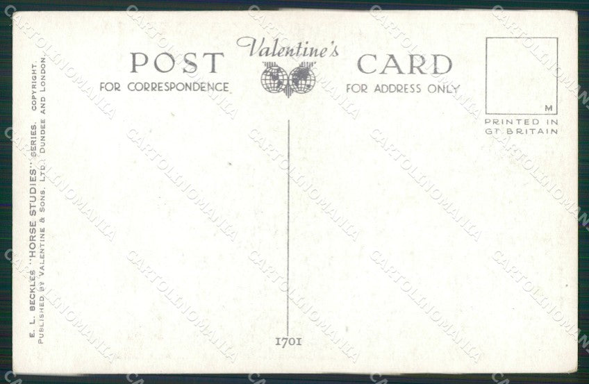 Artist Beckles Horse serie 1701 postcard cartolina KS6075 – retro