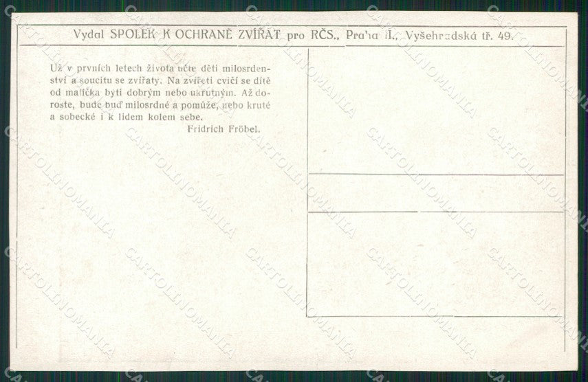 Artist Vorlova Horse postcard cartolina KS6080 – retro