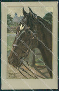 Artist Veit Horse serie 295 postcard cartolina KS6082 – fronte