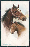 Artist Wardle Horse serie 1117 postcard cartolina KS6086 – fronte