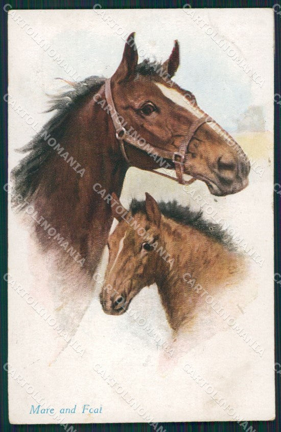 Artist Wardle Horse serie 1117 postcard cartolina KS6086 – fronte