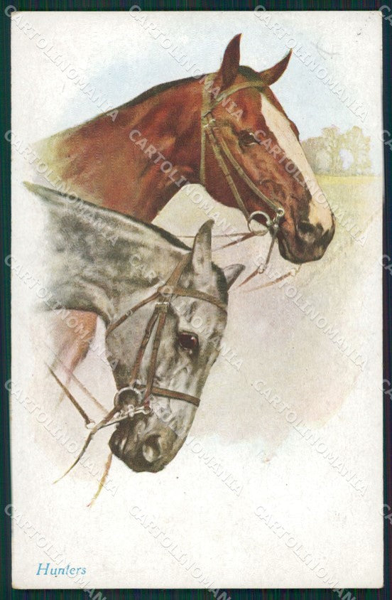 Artist Wardle Horse serie 1117 postcard cartolina KS6087 – fronte