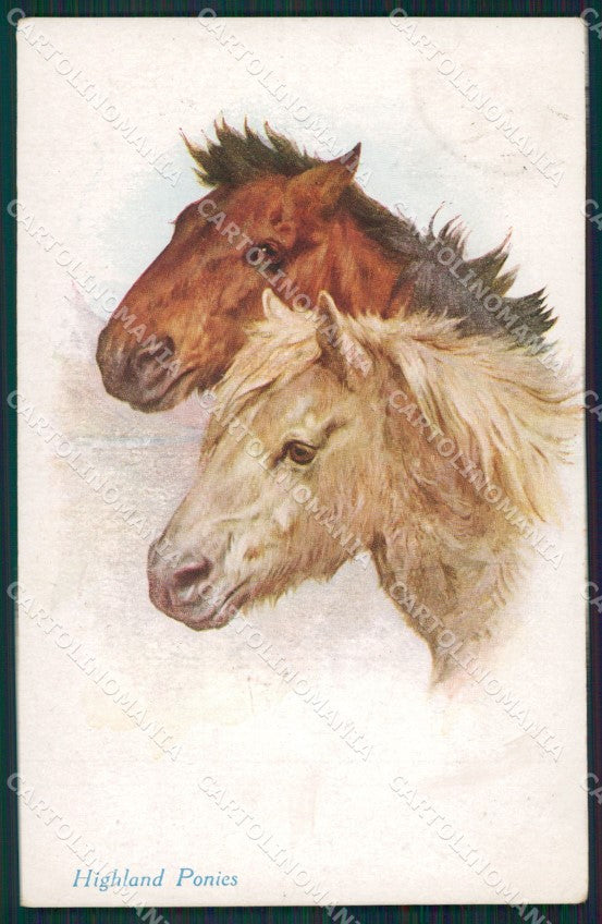Artist Wardle Horse serie 1117 postcard cartolina KS6088 – fronte