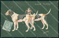 Artist Espinasse Courants Saintongeois dog postcard cartolina KS6089 – fronte