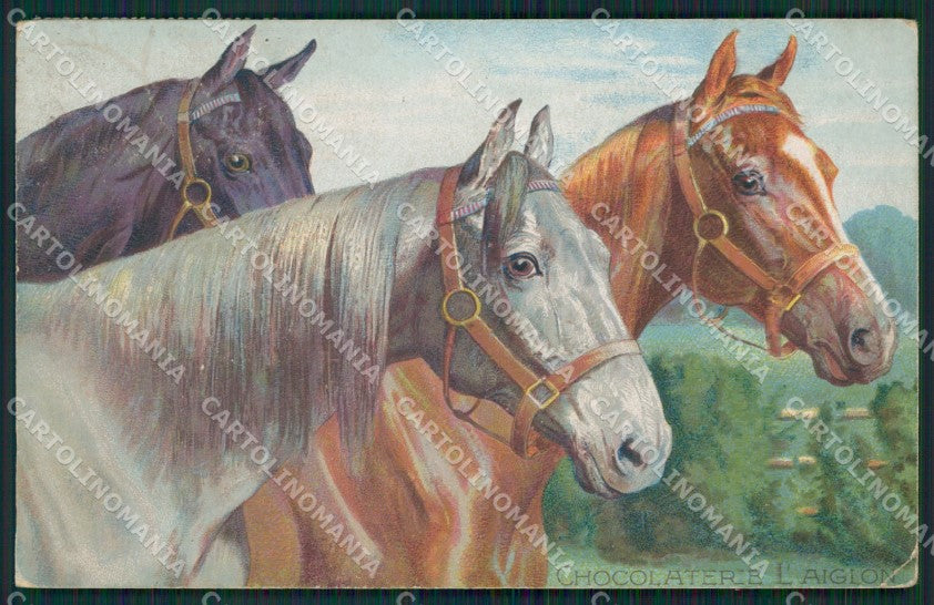 Horse CREASE postcard cartolina KS6125 – fronte